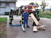 Bild 229